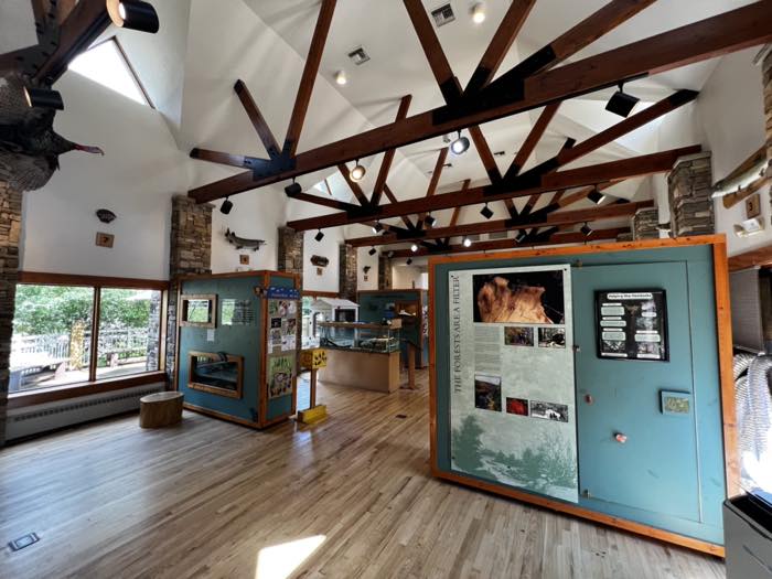 The main hall of a timber-framed nature center, with exposed beams, a pale wood floor, teal exhibit panels on hemlocks and forests, mounted fish and a turkey on the stone piers, and windows onto the trees.