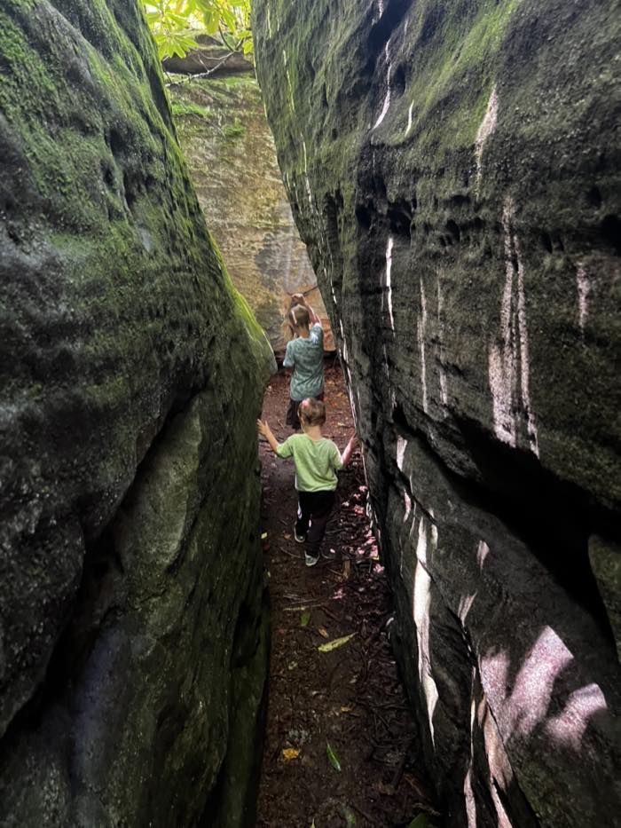 Two children walking away from the camera down a narrow passage between two towering moss-covered sandstone walls, with daylight above.