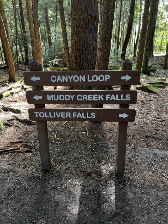 A wooden trail sign with three arms reading Canyon Loop with arrows both ways, Muddy Creek Falls to the left and Tolliver Falls to the right, in open hemlock woods.