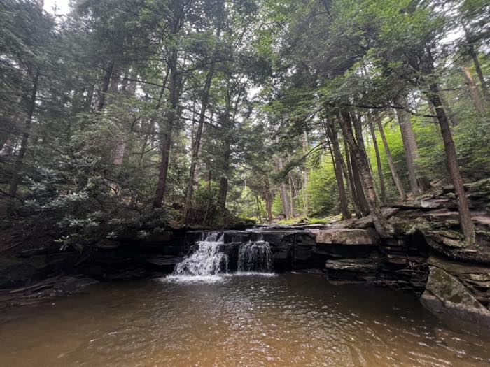 The same falls from downstream across a broad tea-colored pool, framed by tall hemlock and rhododendron with layered rock shelves on the right bank.