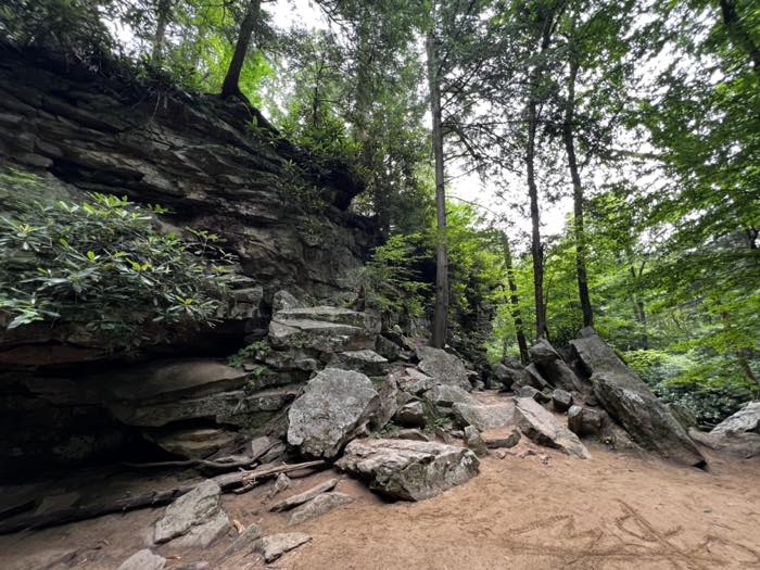 A tall layered rock face with rhododendron on its ledges, and a scree of fallen slabs at its foot beside a sandy path.