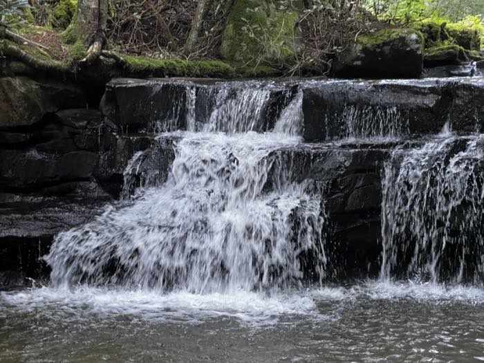 A wide, low waterfall stepping over dark stacked ledges into a shallow pool, with moss and rhododendron on the bank above.