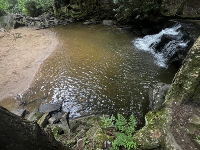 A tea-colored pool below a low wide waterfall, with a crescent of pale sand along the near bank and mossy rock and ferns in the foreground.